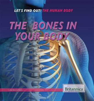 Library Binding The Bones in Your Body Book