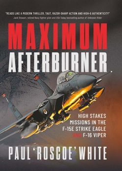 Maximum Afterburner : High Stakes Missions in the F-15E Strike Eagle and F-16 Viper