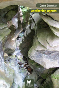 Paperback Weathering Agents Book