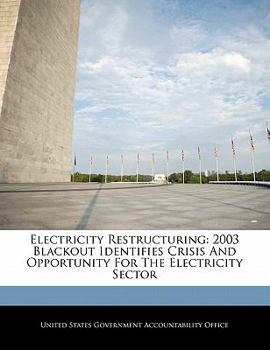 Paperback Electricity Restructuring: 2003 Blackout Identifies Crisis and Opportunity for the Electricity Sector Book