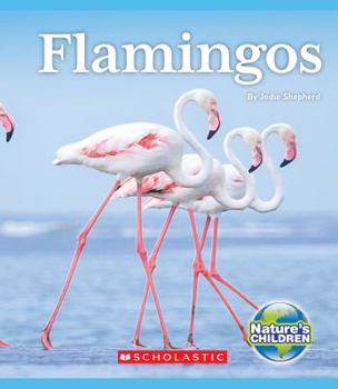 Paperback Flamingos (Nature's Children) Book