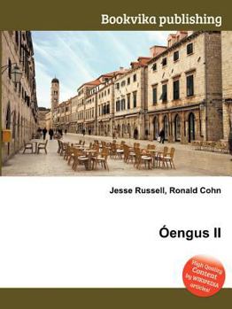 Paperback Oengus II Book