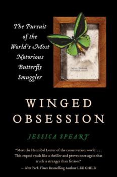 Paperback Winged Obsession Book