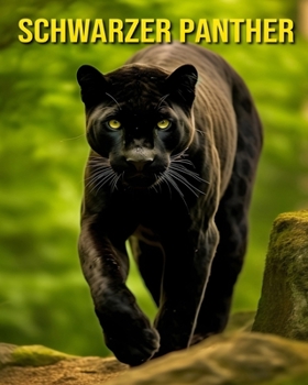 Paperback Schwarzer Panther: Spaß und erstaunliche Bilder über Schwarzer Panther [German] Book