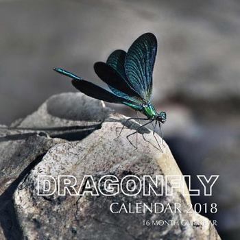 Dragonfly Calendar 2018: 16 Month Calendar