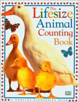 Hardcover The Lifesize Animal Counting Book [Large Print] Book