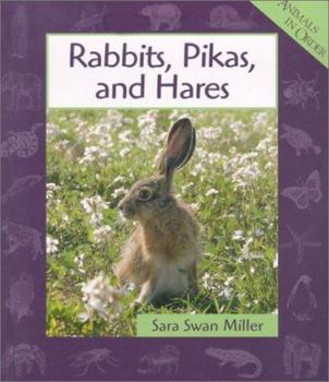 Library Binding Rabbits, Pikas, and Hares Book