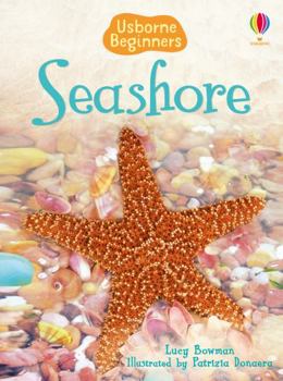 Seashore (Usborne Beginners) - Book  of the Beginners Series