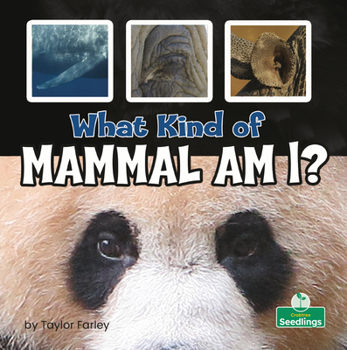 Library Binding What Kind of Mammal Am I? Book