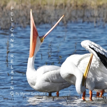 Paperback Pelicans Relaxing Book