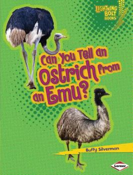 Library Binding Can You Tell an Ostrich from an Emu? Book
