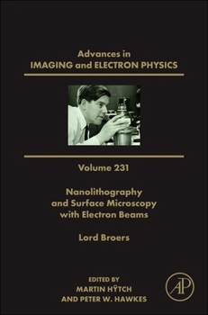 Hardcover Nanolithography and Surface Microscopy with Electron Beams: Volume 231 Book