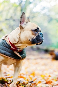 French Bulldogs Dog Pup Puppy Doggie Notebook Bullet Journal Diary Composition Book Notepad - Walking In Forest: Cute Animal Pet Owner Composition ... Quad Ruled Graph Paper Pages in 6” x 9” Inch