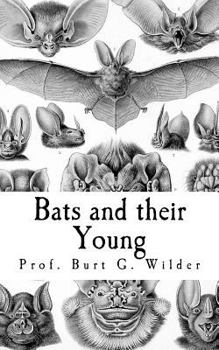 Paperback Bats and their Young Book