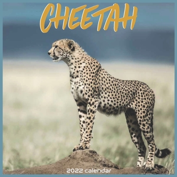 Cheetah 2022 Calendar: Official Cheetahs Animal 2022 Calendar 16 Months