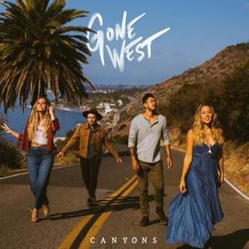 Vinyl Canyons Book