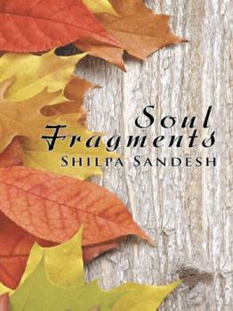 Paperback Soul Fragments Book