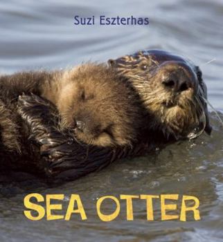 Hardcover Eye on the Wild: Sea Otter Book