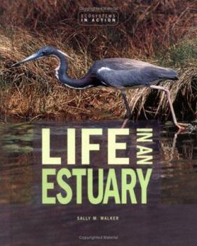Hardcover Life in an Estuary Book