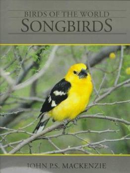 Paperback Songbirds Book