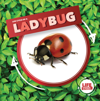 Library Binding Life Cycle of a Ladybug Book