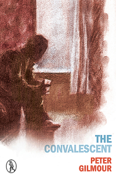 Paperback The Convalescent Book