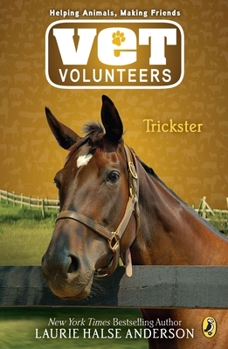 The Trickster: David - Book #3 of the Vet Volunteers