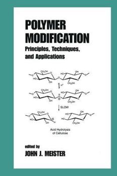 Hardcover Polymer Modification: Principles, Techniques, and Applications Book