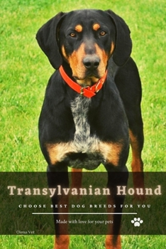 Transylvanian Hound: Choose best dog breeds for you