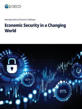 Paperback Economic Security in a Changing World Book