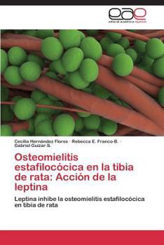 Osteomielitis estafilocócica en la tibia de rata: Acción de la leptina: Leptina inhibe la osteomielitis estafilocócica en tibia de rata