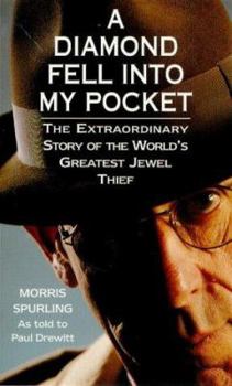 Paperback A Diamond Fell into My Pocket Book