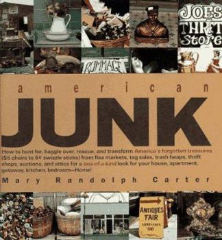Hardcover American Junk Book