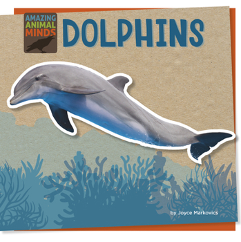Paperback Dolphins Book