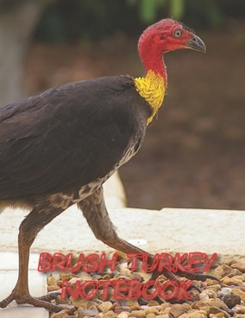 BRUSH TURKEY NOTEBOOK: Notebooks and Journals 110 pages (8.5"x11")