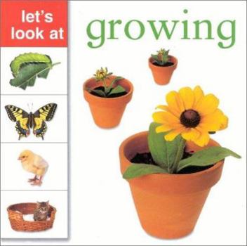 A First Book About Growing (Look and Learn) - Book  of the Let's Look At...