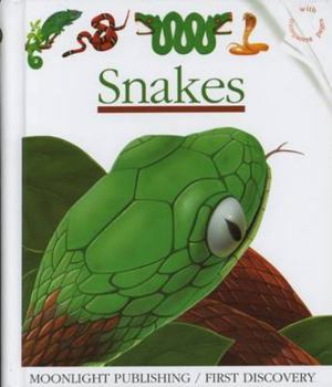 Hardcover Snakes: (First Discovery) (First Discovery Series) Book