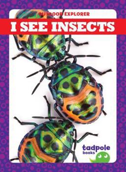 I See Insects - Book  of the Outdoor Explorer