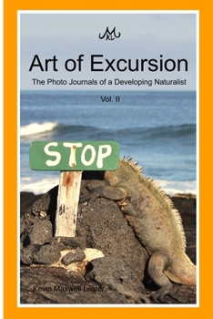 Paperback Art of Excursion Vol. 2 Book