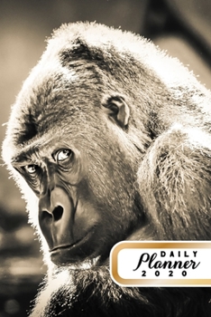 Paperback Daily Planner 2020: Monkey Lover 52 Weeks 365 Day Daily Planner for Year 2020 6x9 Everyday Organizer Monday to Sunday Nature Enthusiast An Book