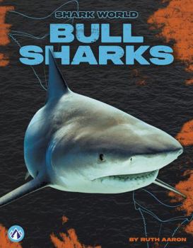 Bull Sharks
