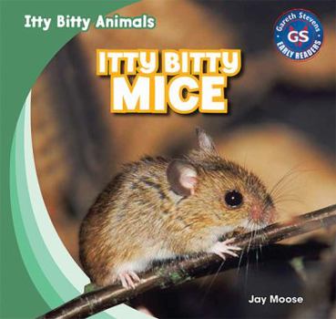 Library Binding Itty Bitty Mice Book