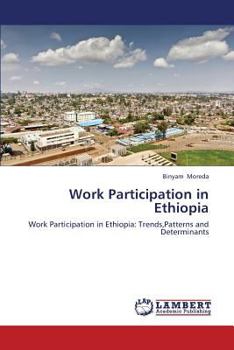 Paperback Work Participation in Ethiopia Book