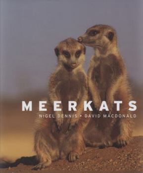 Hardcover Meerkats Book