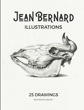 Paperback Jean Bernard Illustrations Pencil Drawings: 25 Amazing Charcoal Drawings Book