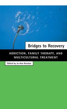 Hardcover Bridges to Recovery: Addiction, Family Therapy, and Multicultural Treatment Book
