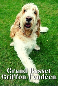 Paperback Grand Basset Griffon Vendéen: Dog breed overview and guide Book