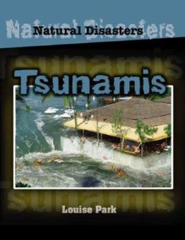 Library Binding Tsunamis Book