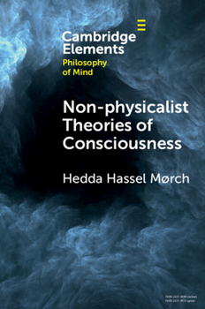 Paperback Non-Physicalist Theories of Consciousness Book
