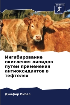 Paperback Ингибирование окислени&# [Russian] Book